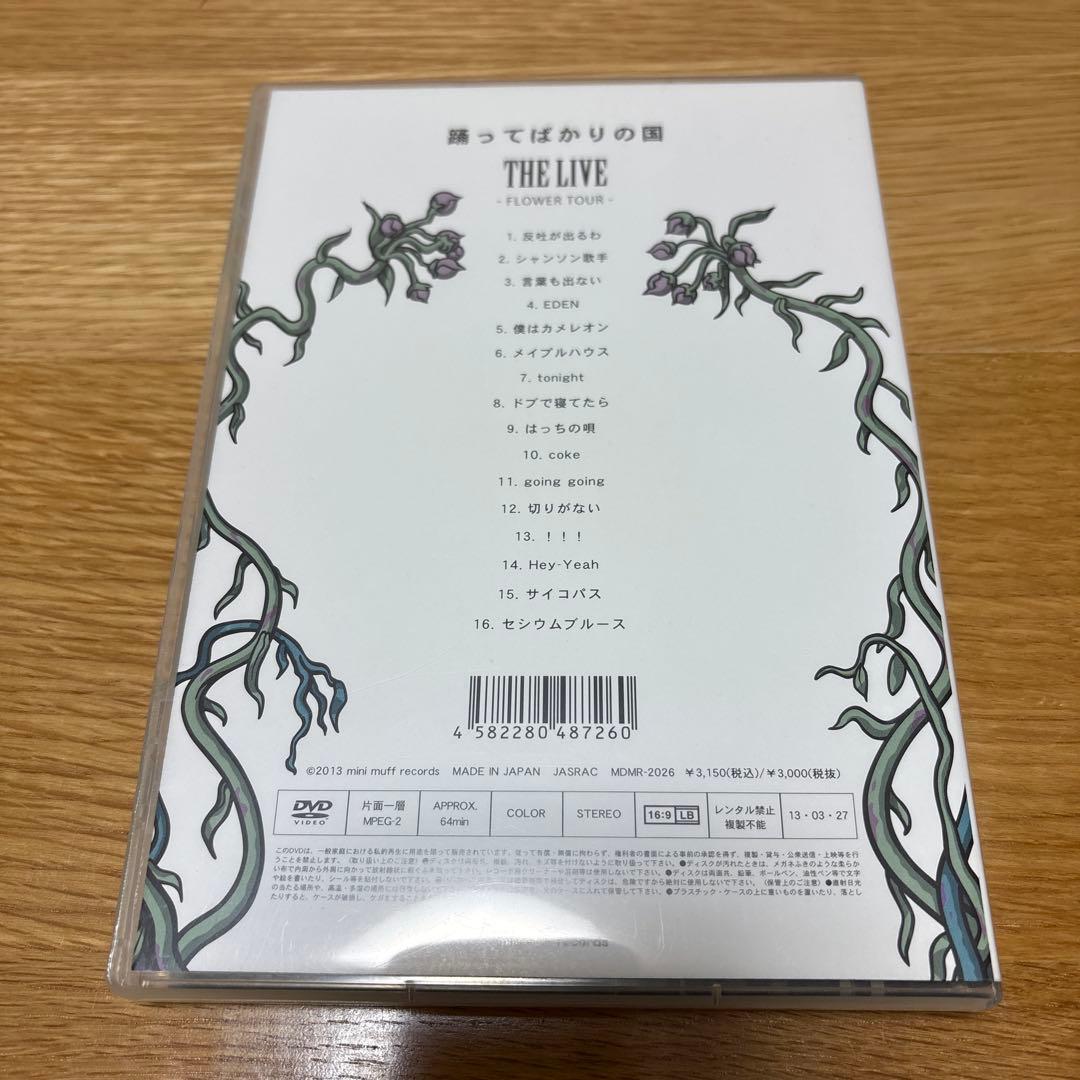 踊ってばかりの国　DVD2枚セット