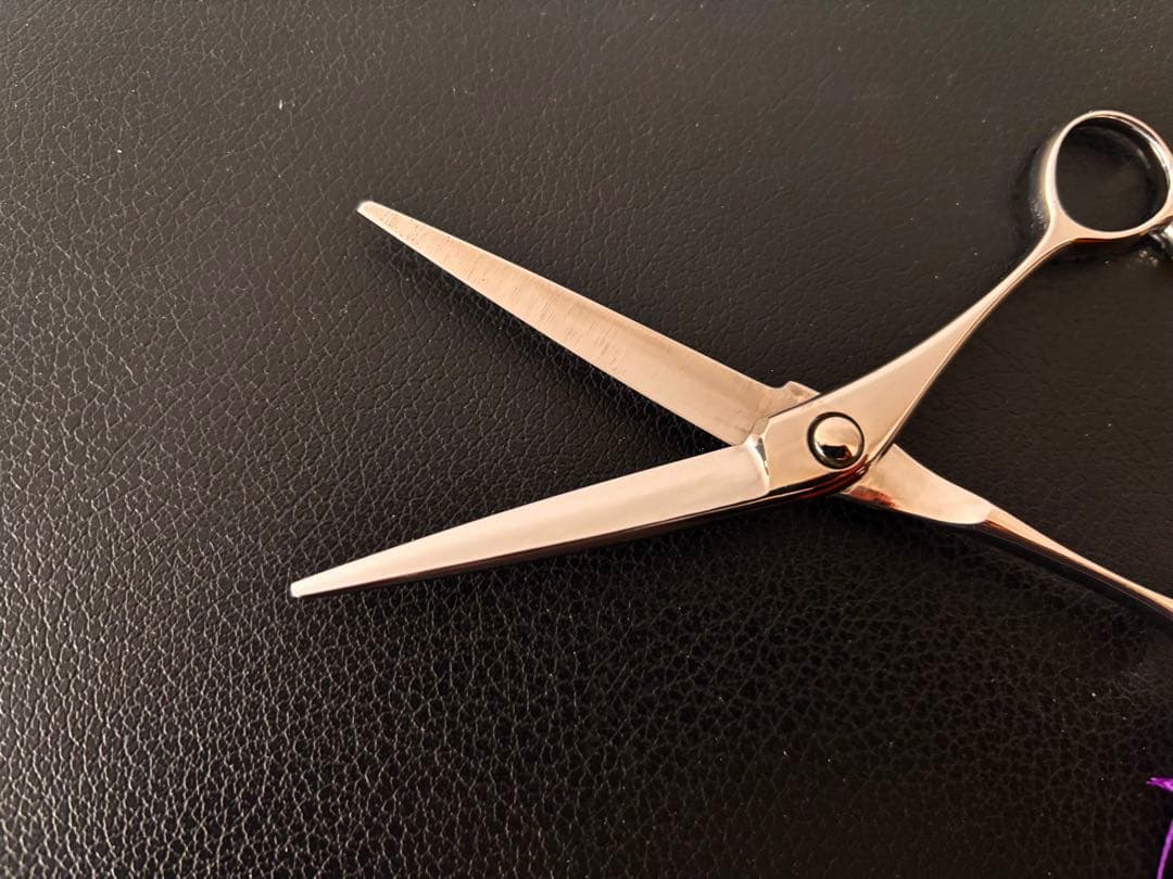 【新春セール】新品 未使用 ハイネッタ シザー レミートップ 206