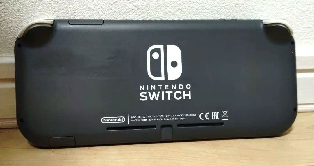 た*み様 Nintendo switch Lite