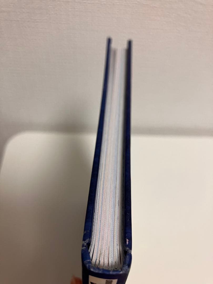 ベイマックス ヒロの日記 Hiro’s Journal