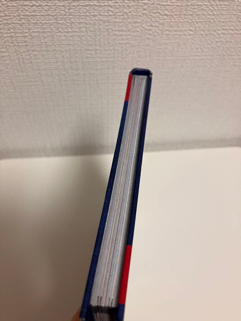 ベイマックス ヒロの日記 Hiro’s Journal