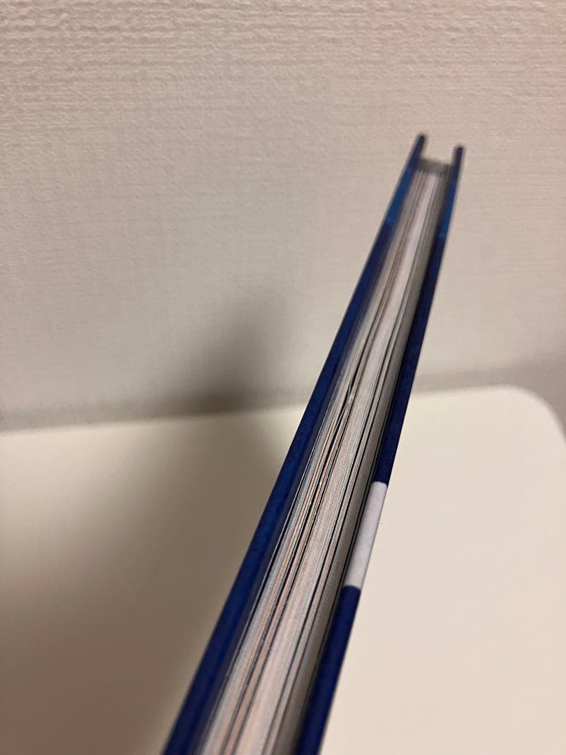 ベイマックス ヒロの日記 Hiro’s Journal