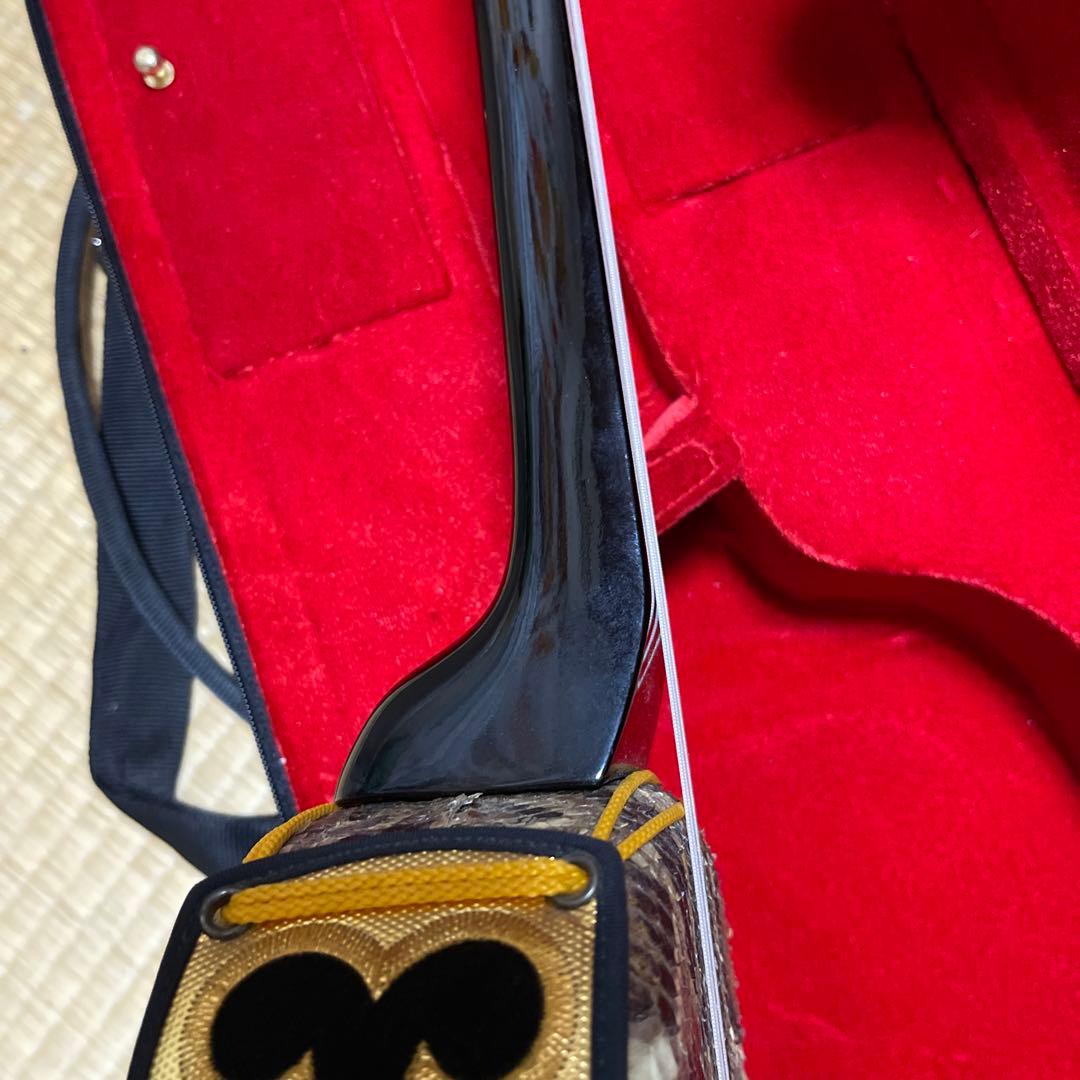 蛇皮沖縄三線　ハードケース付き