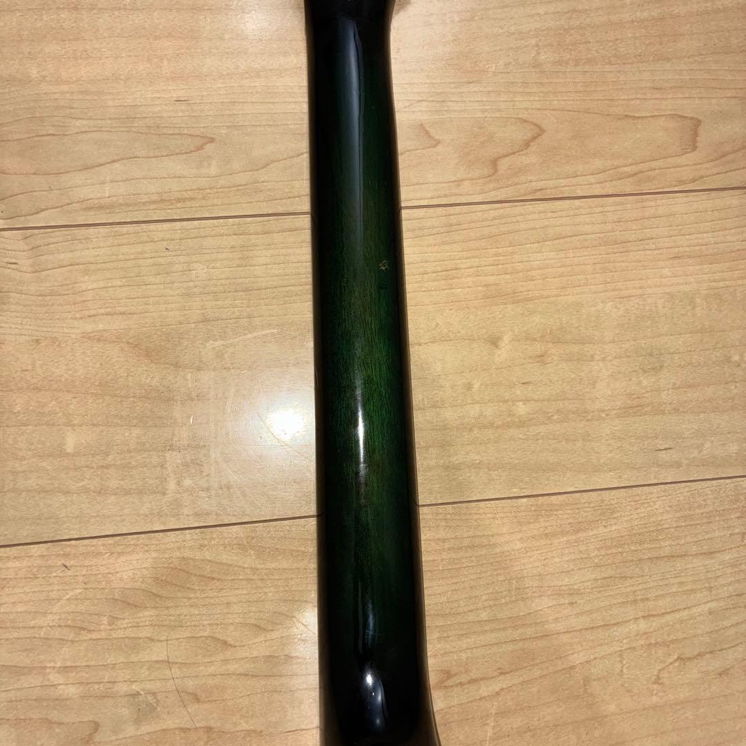 Morris MR-1エレアコです ランブラー　rumblerシリーズです