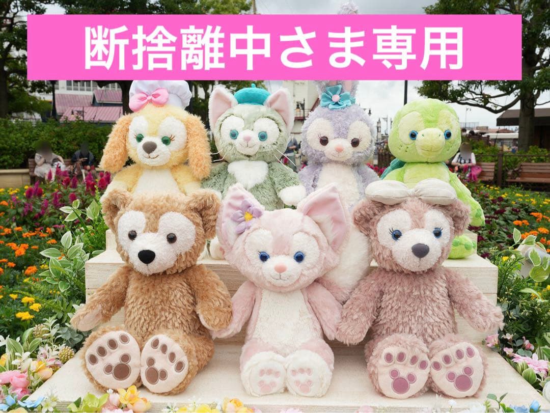 断捨離中さま限定