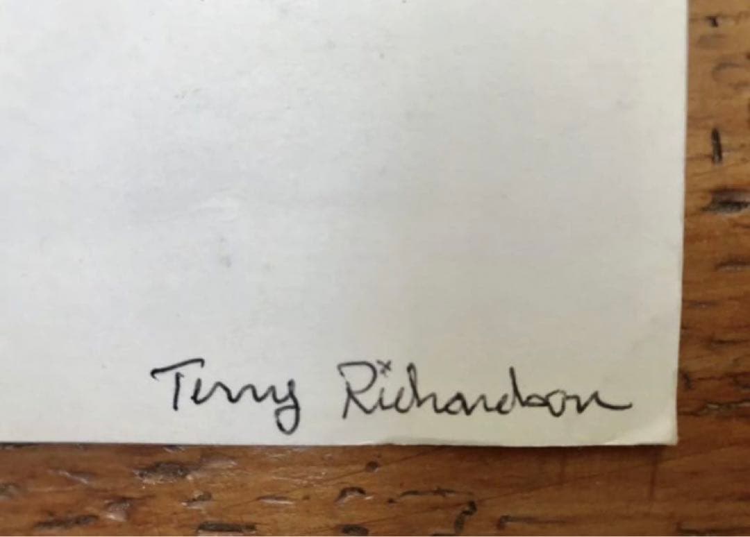 限定 Terry Richardson テリーリチャードソン シルクスクリーン