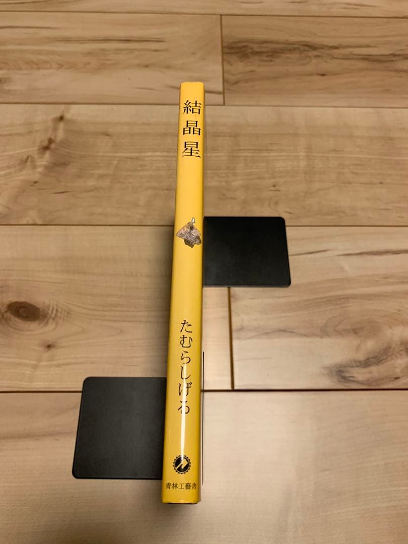 ★希少 初版たむらしげる 結晶星 The Crystallization