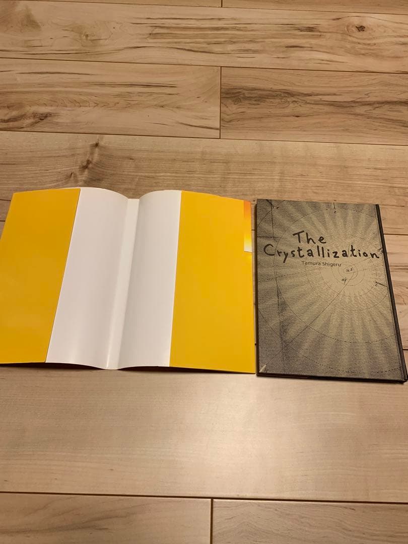 ★希少 初版たむらしげる 結晶星 The Crystallization