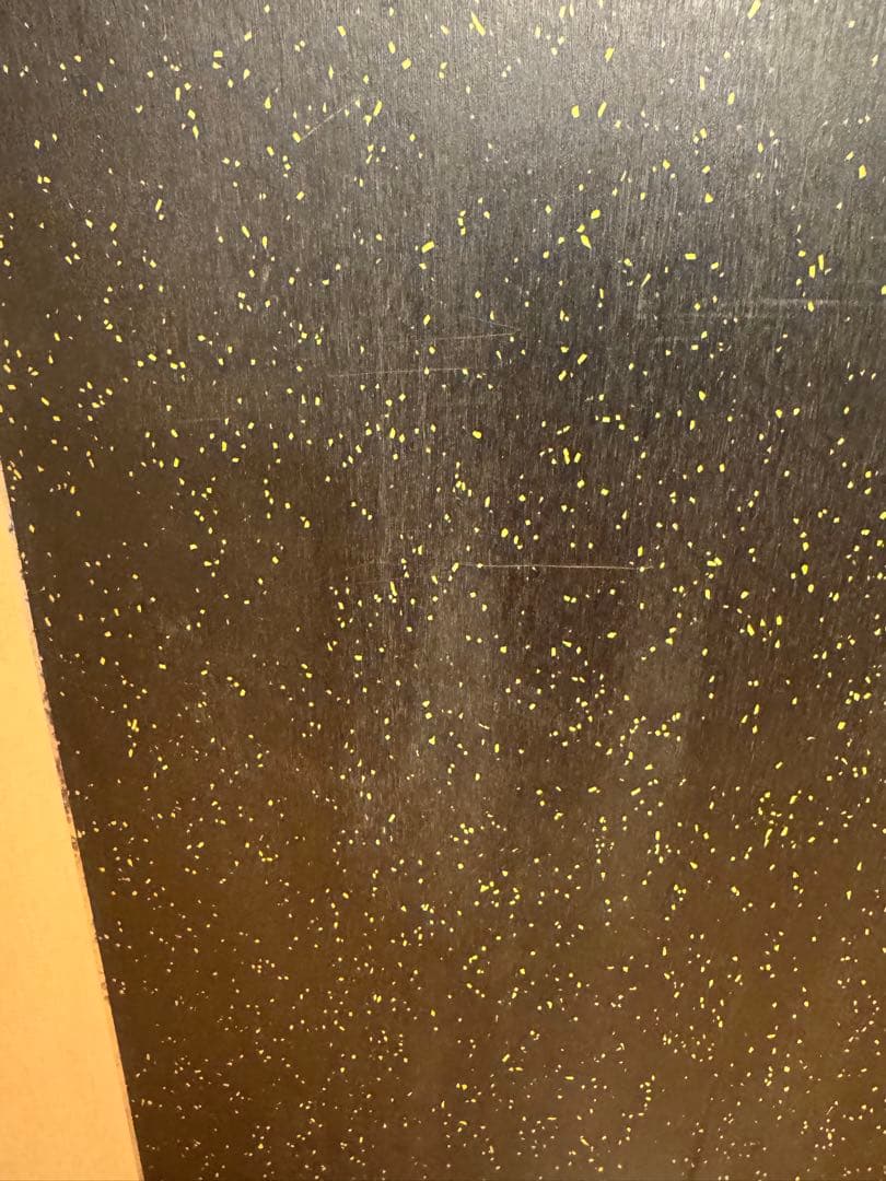 SALOMON HPS TakaharuNakai EP159 スノーボード