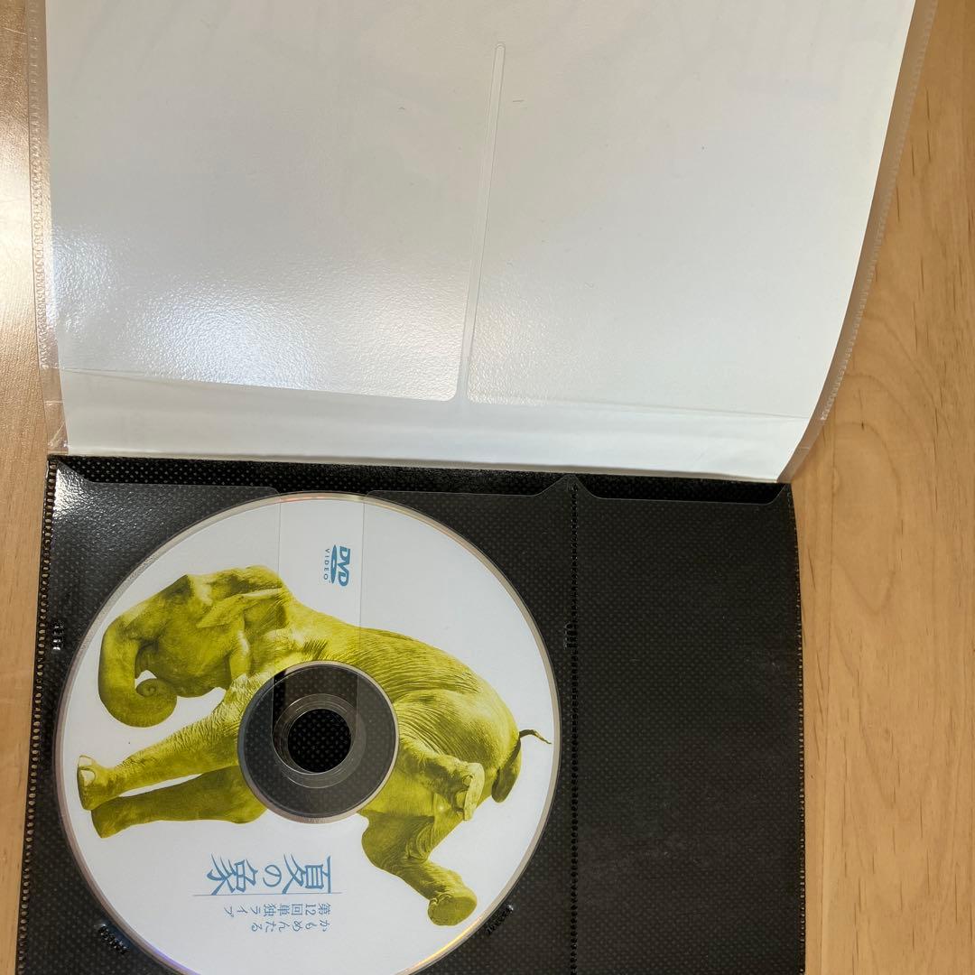 夏の象 かもめんたる DVD 第12回単独ライブ　レア