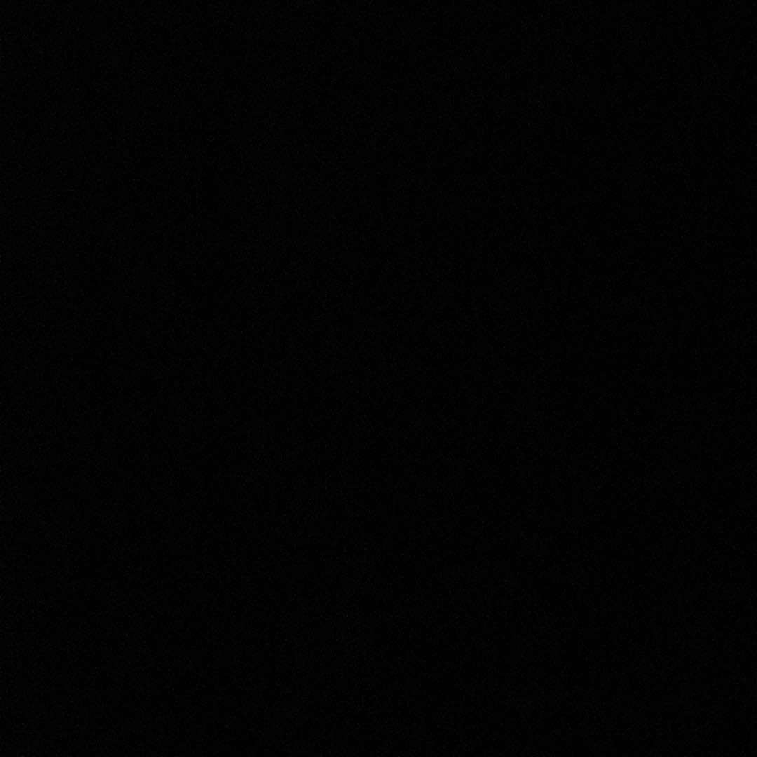 Cookie　ポケモンコロシアムデータ入りメモリーカード