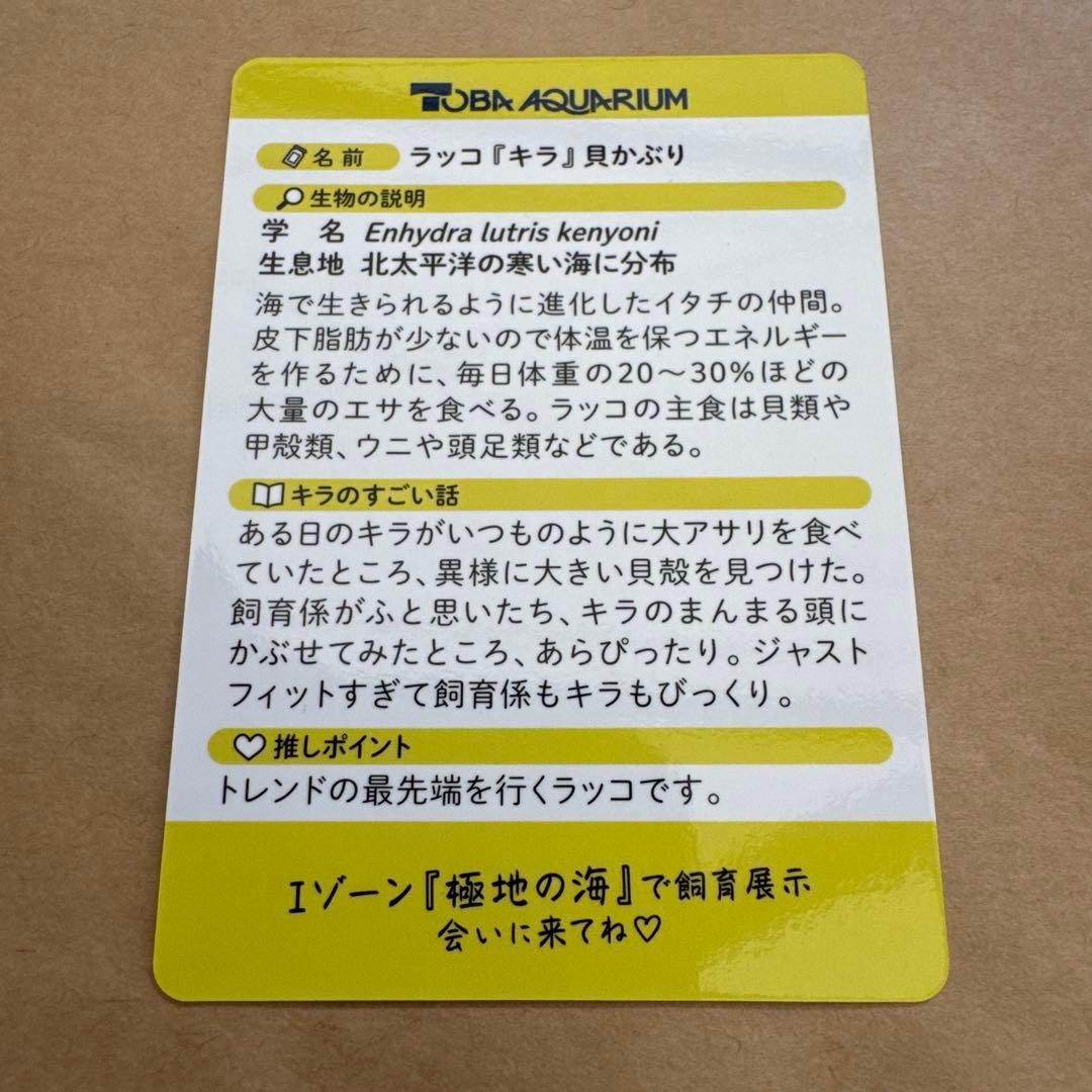 最安値‼️鳥羽水族館　 コレクションカード　レア　ラッコ　キラ　70周年記念