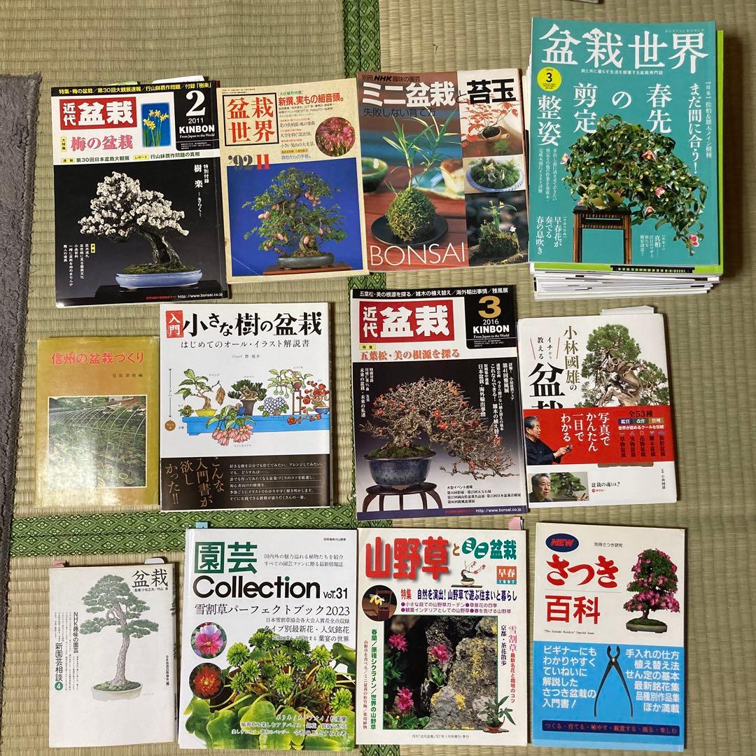 盆栽世界　17冊　＋　その他盆栽　雑誌・本セット