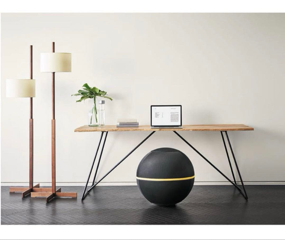 （（Technogym））WELLNESS BALL