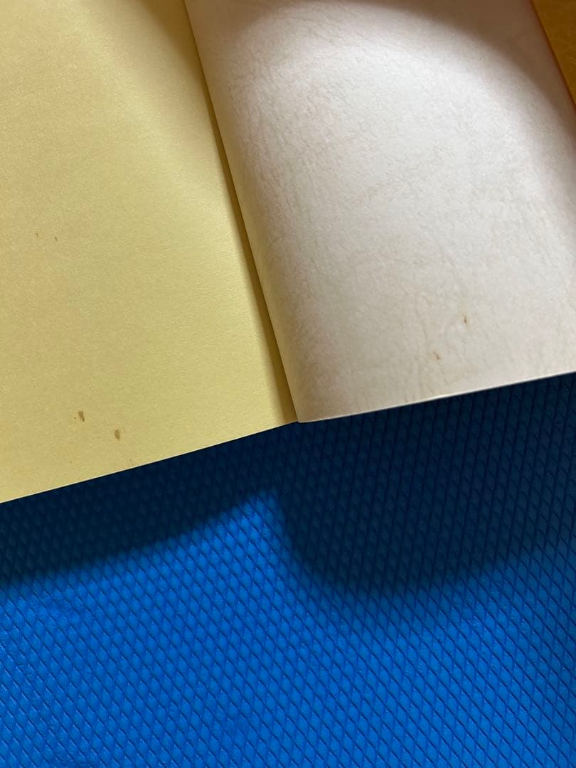 終末の世の様相と明日への宣言　悪の目覚めと童話と経綸　　　橘香道　玉置天河神社