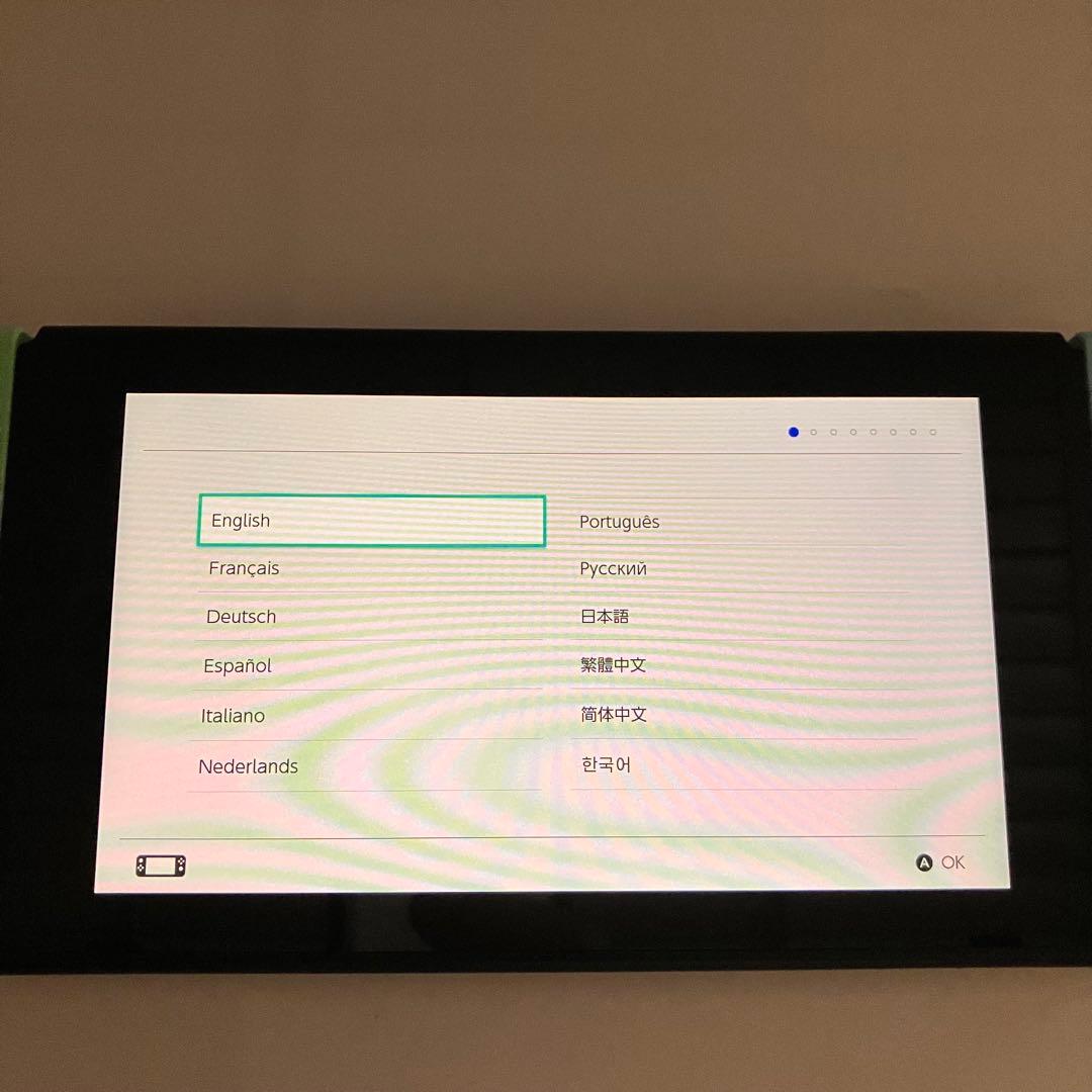 【美品】Nintendo Switch あつまれどうぶつの森セット