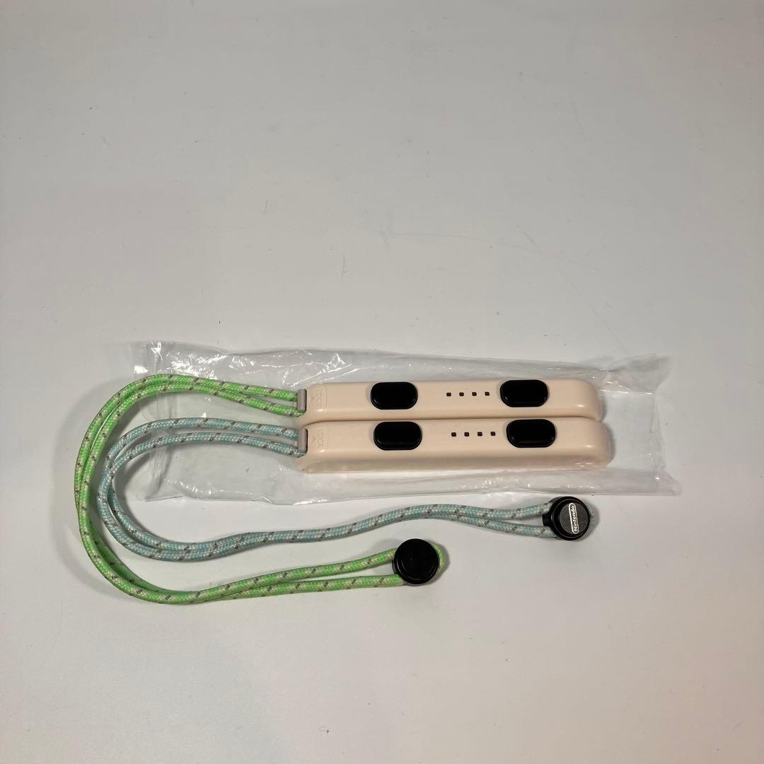 【美品】Nintendo Switch あつまれどうぶつの森セット