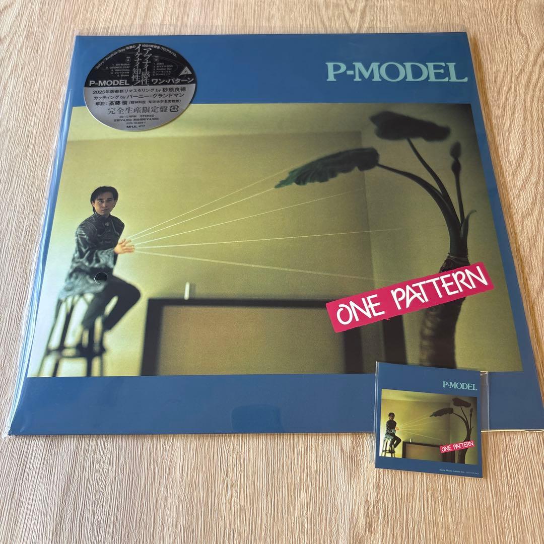 P-MODEL / KARKADOR / ONE PATTERN【2枚セット】