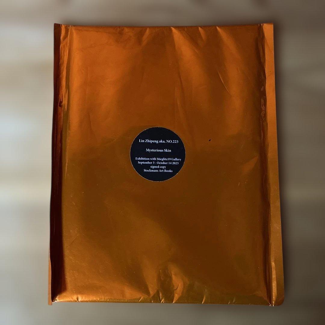 アート・デザイン・音楽 Lin Zhipeng aka,No.223 Mysterious Skin