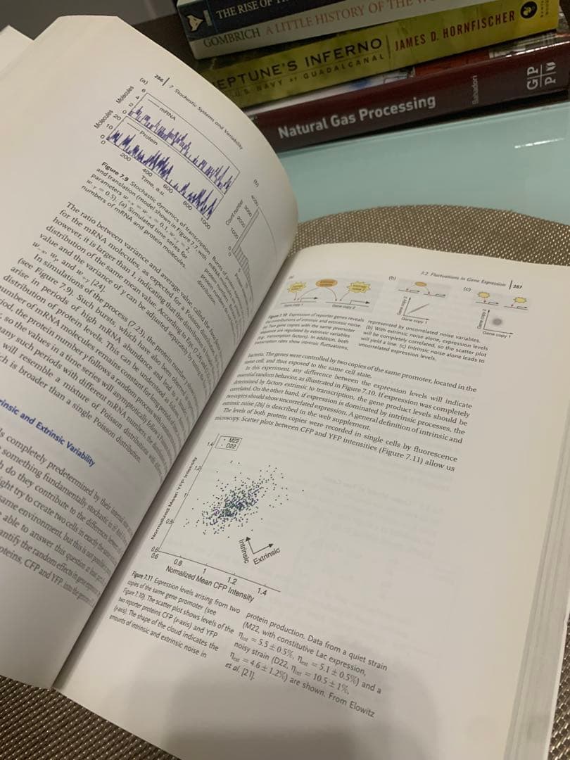 洋書 Systems Biology: A Textbook