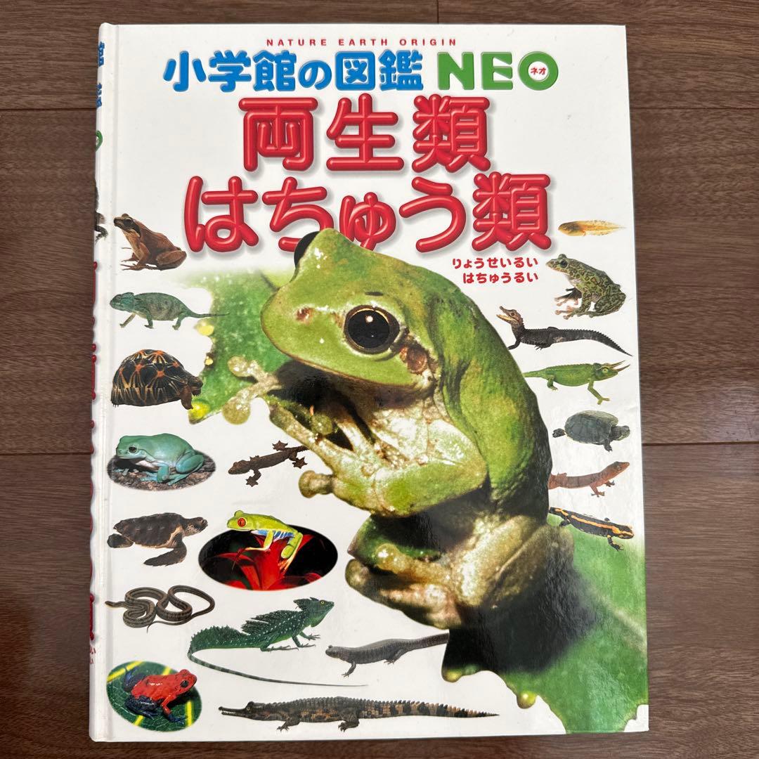 小学館の図鑑NEO (一部DVD付き)15巻セット