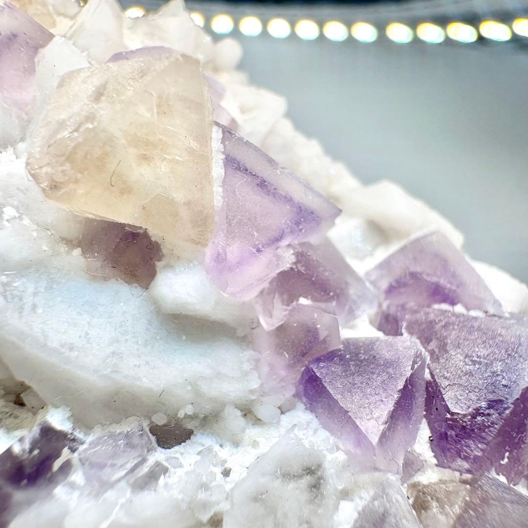 565 中国内モンゴル産　八面体フローライト&シェーライト