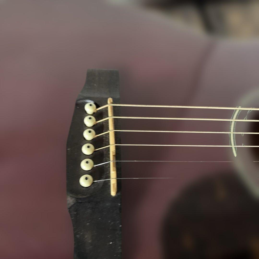 cort L100-0 TP アコースティックギター