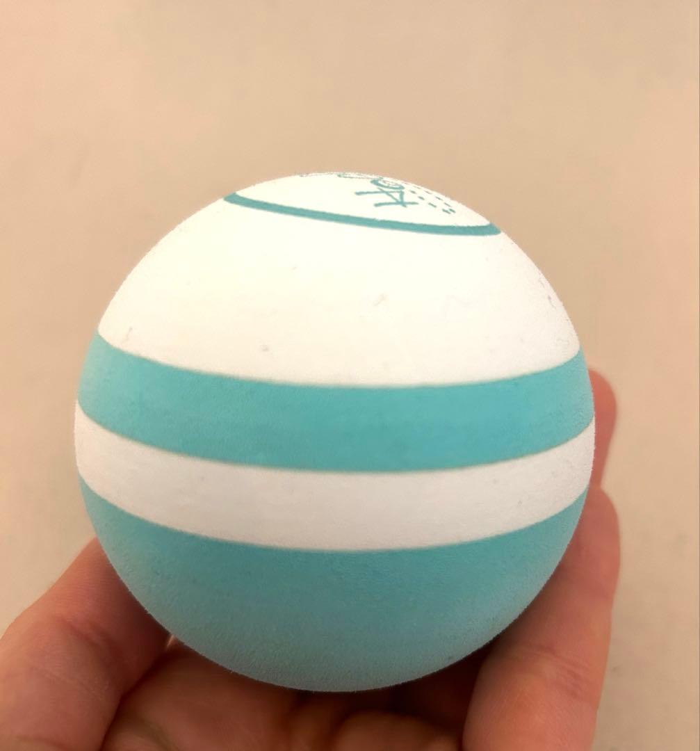 ⭐︎ユミコアボディー⭐︎ホグッシーローラー＆ホグッシーボール