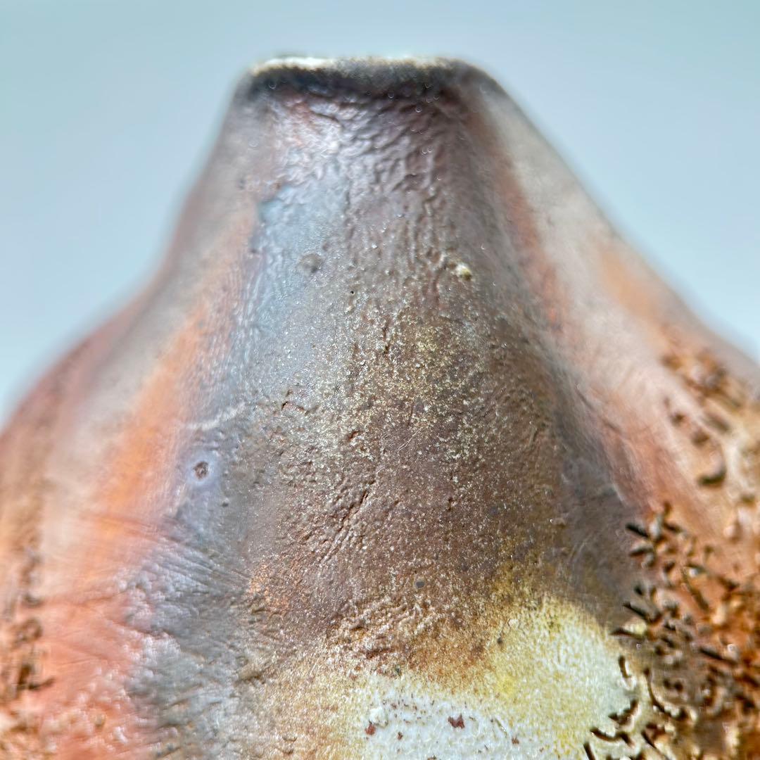 石田安弘 備前焼瓢宝瓶 般若心经人気作者 急須 茶注 煎茶 茶道具