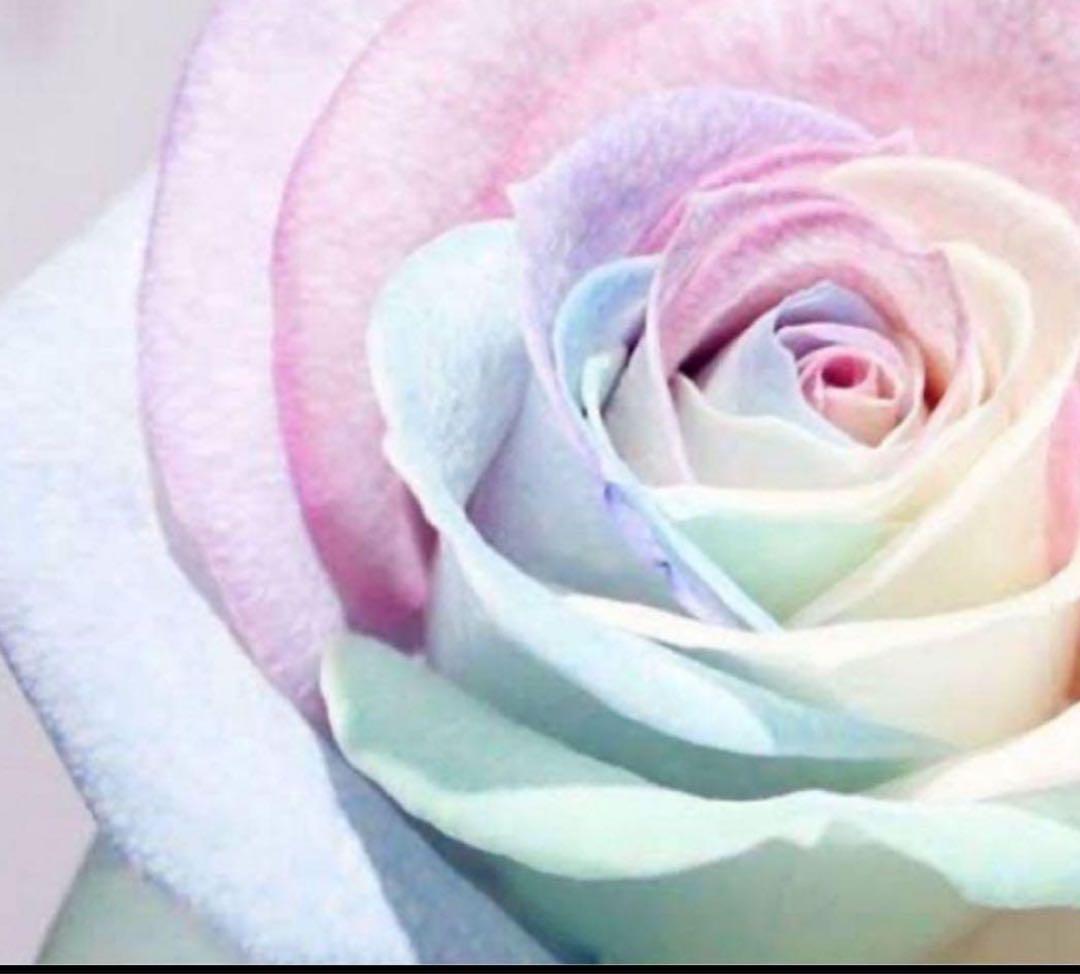 美容液 2 美容液オイル1