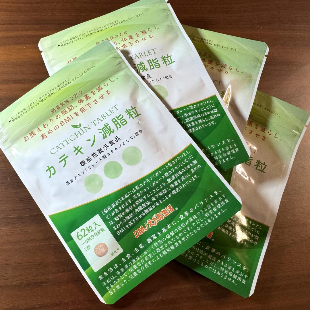 【カテキン減脂粒 62粒入り × 4袋】DMJえがお生活 説明書＆メタボリズム付