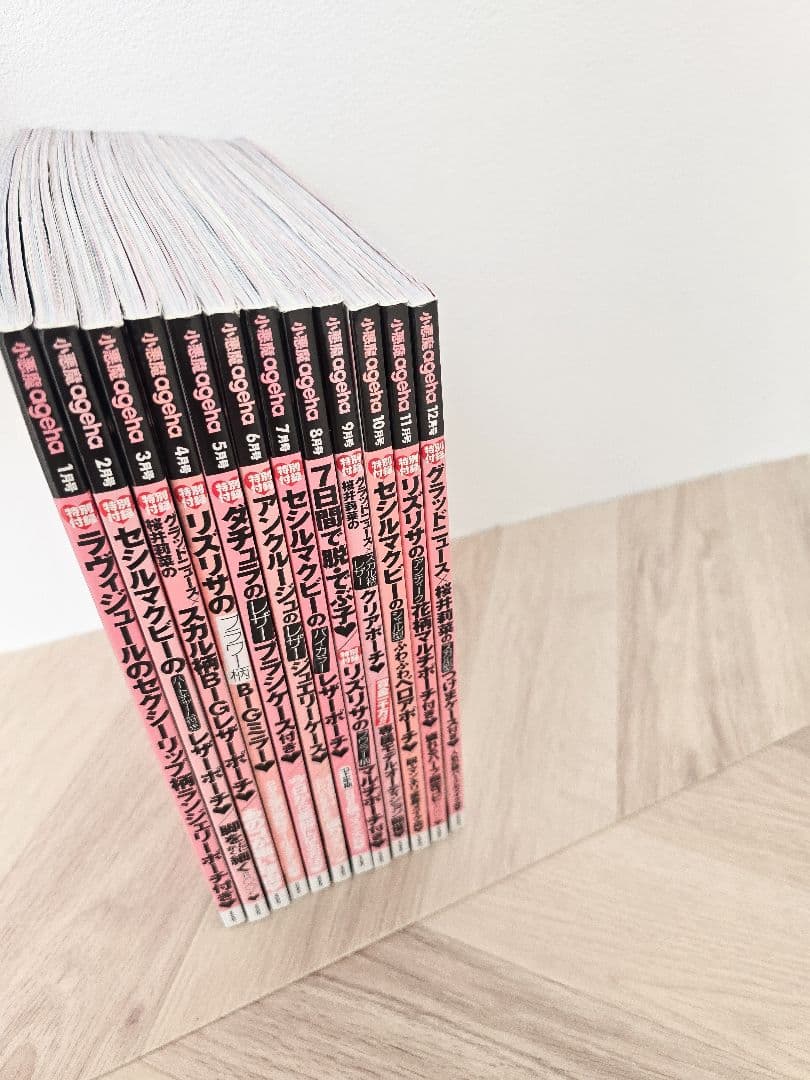 最終お値下げ価格 小悪魔ageha 2013年1月〜12月まとめ売り