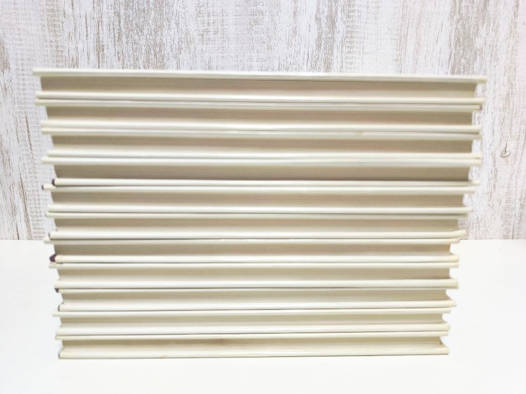 岩波 世界の巨匠 シリーズ 本 11冊セット 岩波書店 西洋美術入門書 芸術