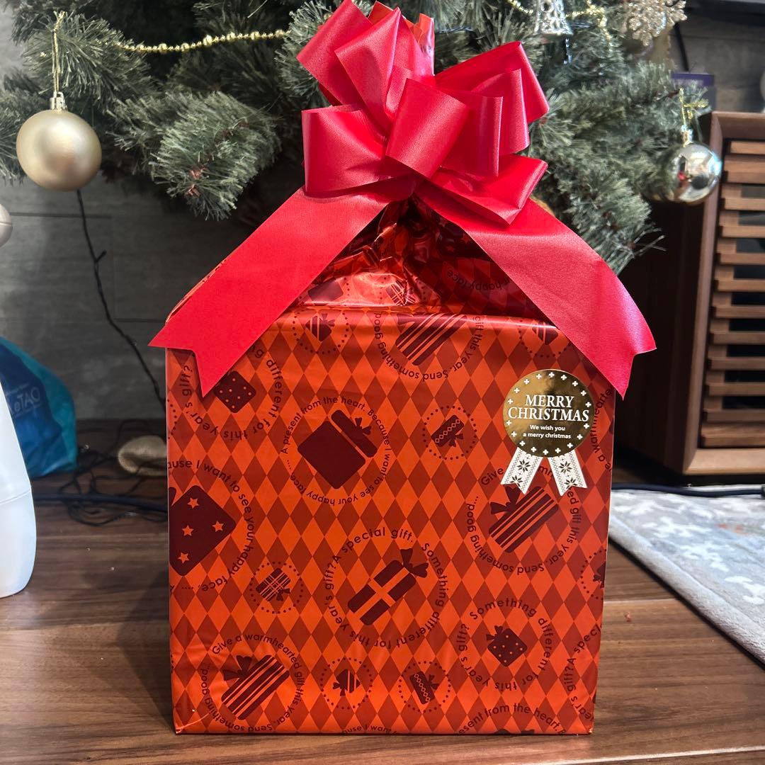 新品未使用 ニンテンドースイッチ2 本体 マリオカートワールドセット