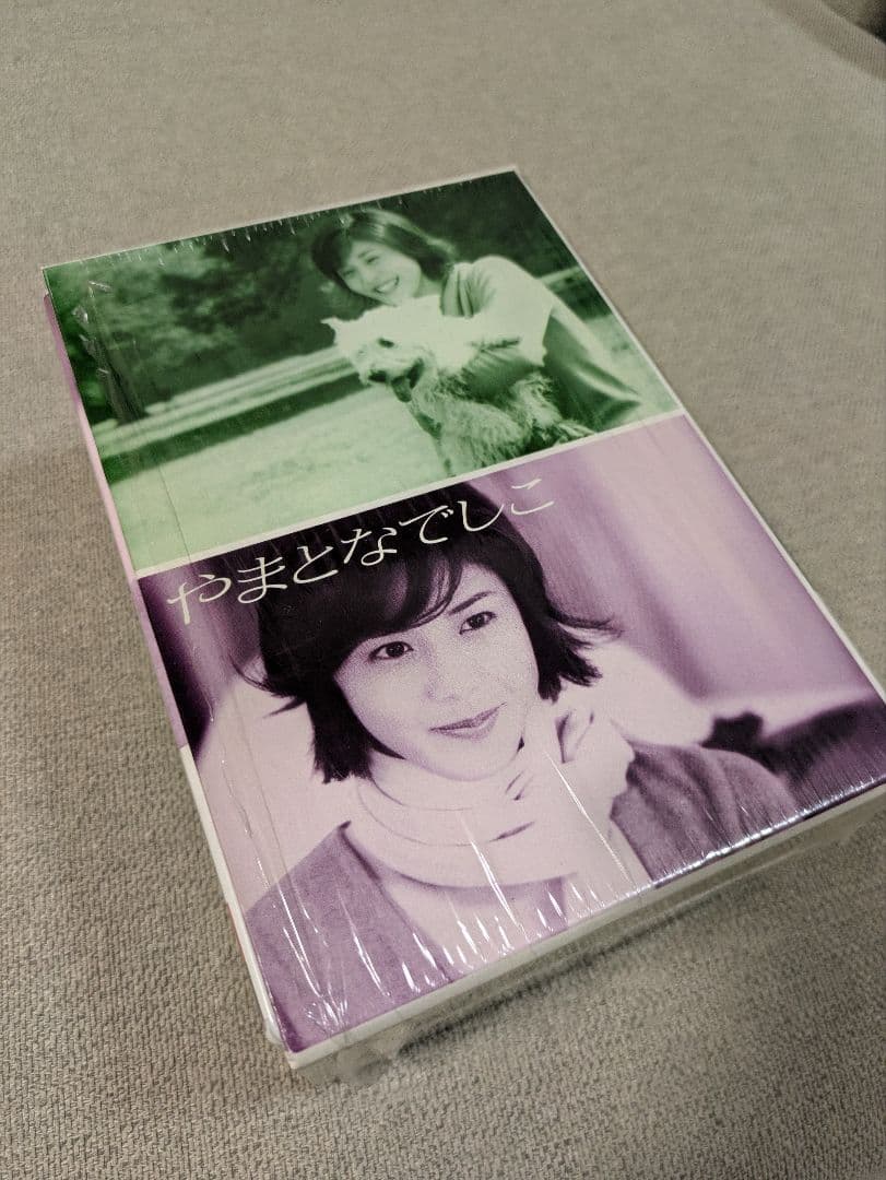 やまとなでしこ DVD ボックスセット