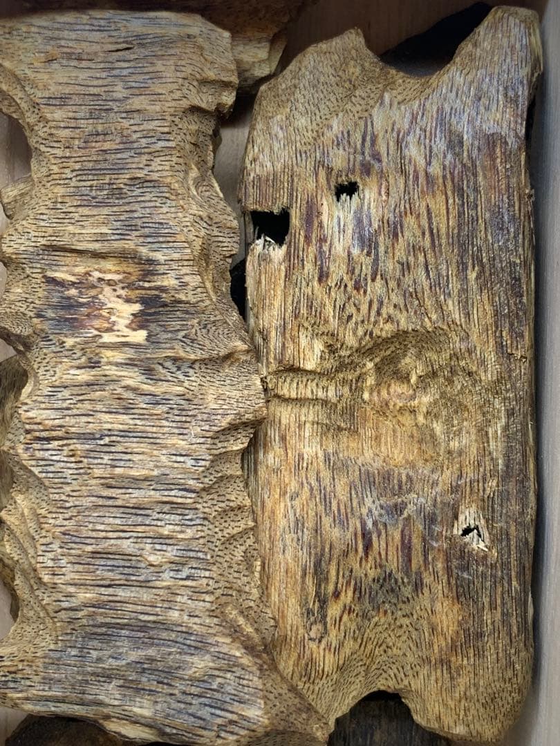 極上白伽羅 沈香 香木 重さ:50g 限定価格