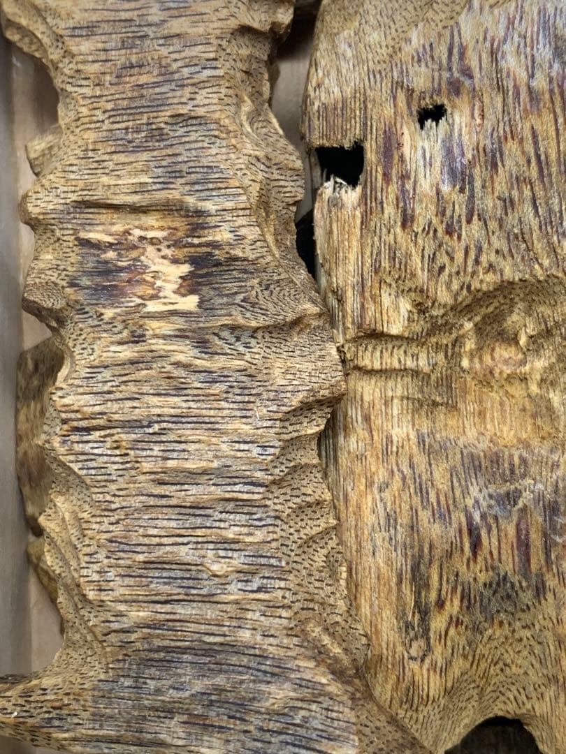 極上白伽羅 沈香 香木 重さ:50g 限定価格