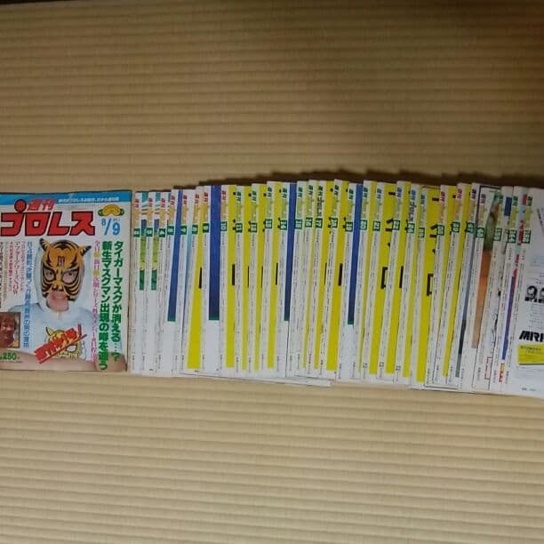 激レア☆1983年週刊プロレス創刊～22（6無し)+9冊