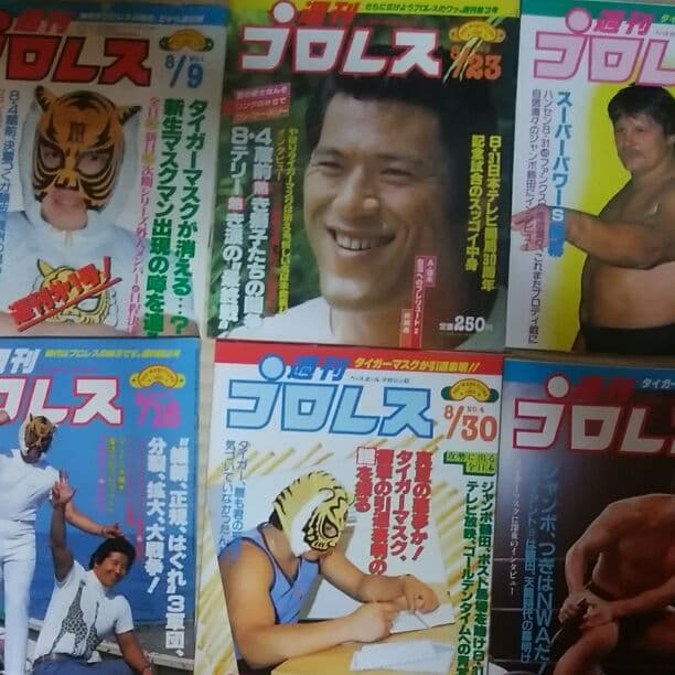 激レア☆1983年週刊プロレス創刊～22（6無し)+9冊