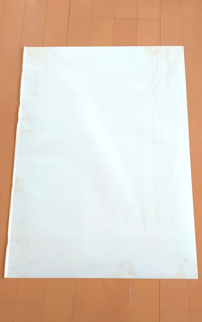 ストリートスライダーズ ポスター Street Sliders HARRY 蘭丸