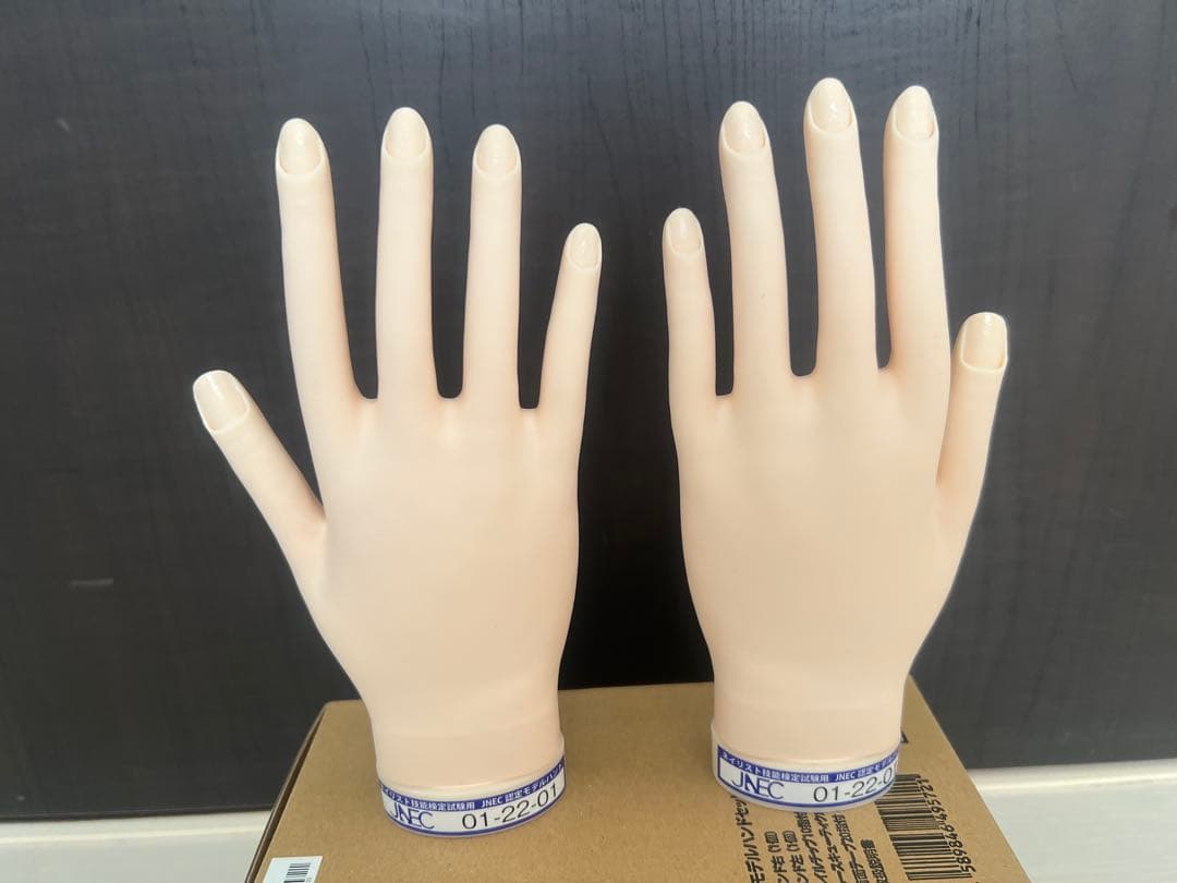 ネイルアート用モデルハンド2本セットとチップ