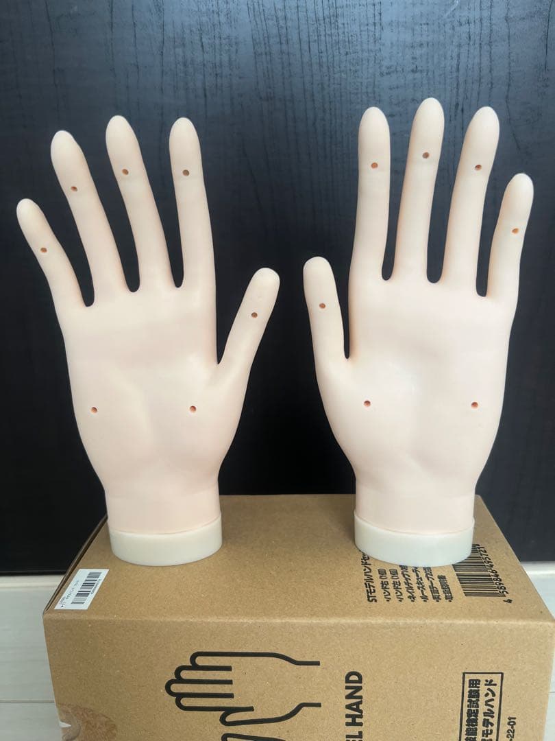 ネイルアート用モデルハンド2本セットとチップ