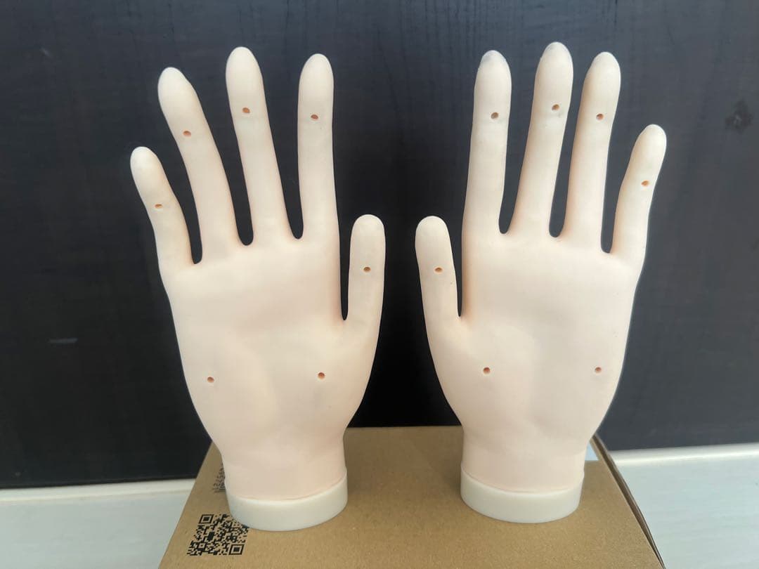 ネイルアート用モデルハンド2本セットとチップ