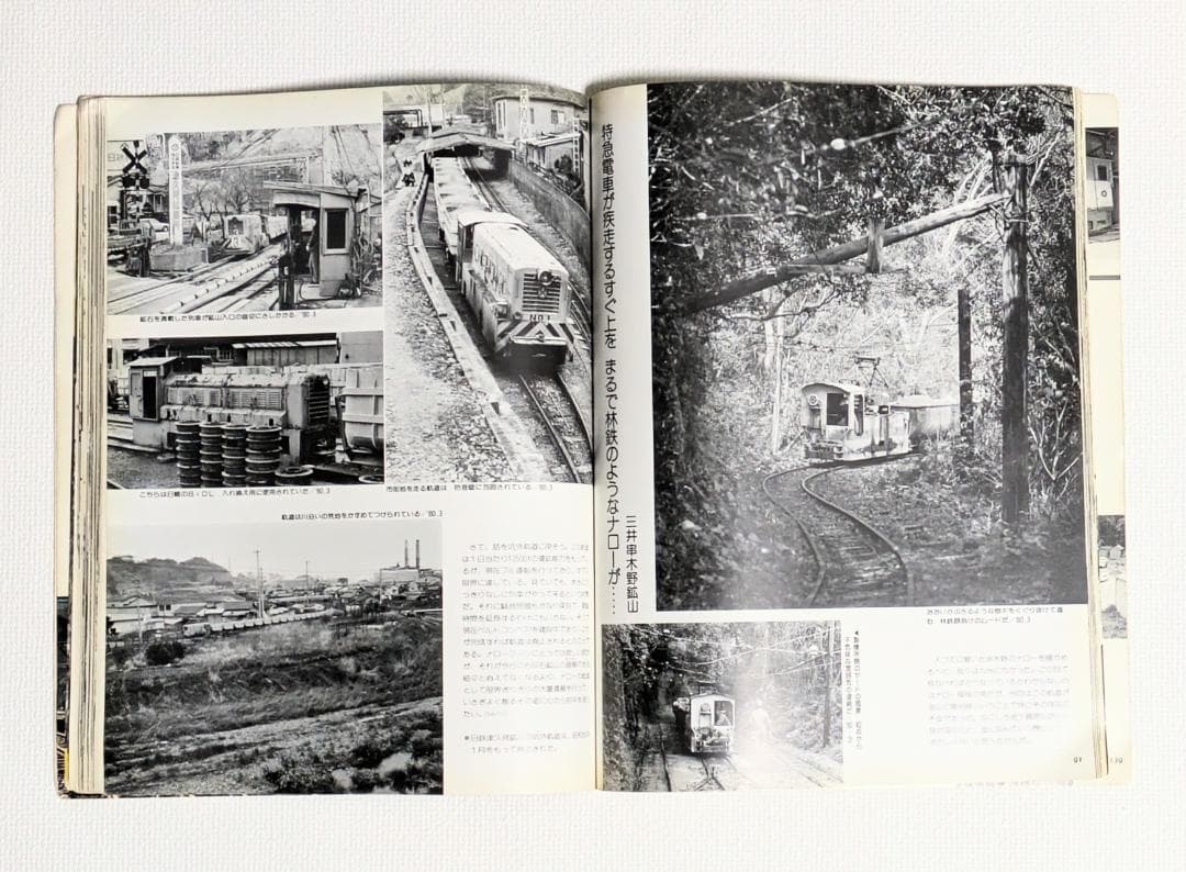 レールガイ別冊 知られざるナローたち