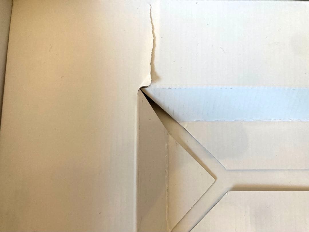 パルストレーナー3DEMS ホーマーイオン研究所