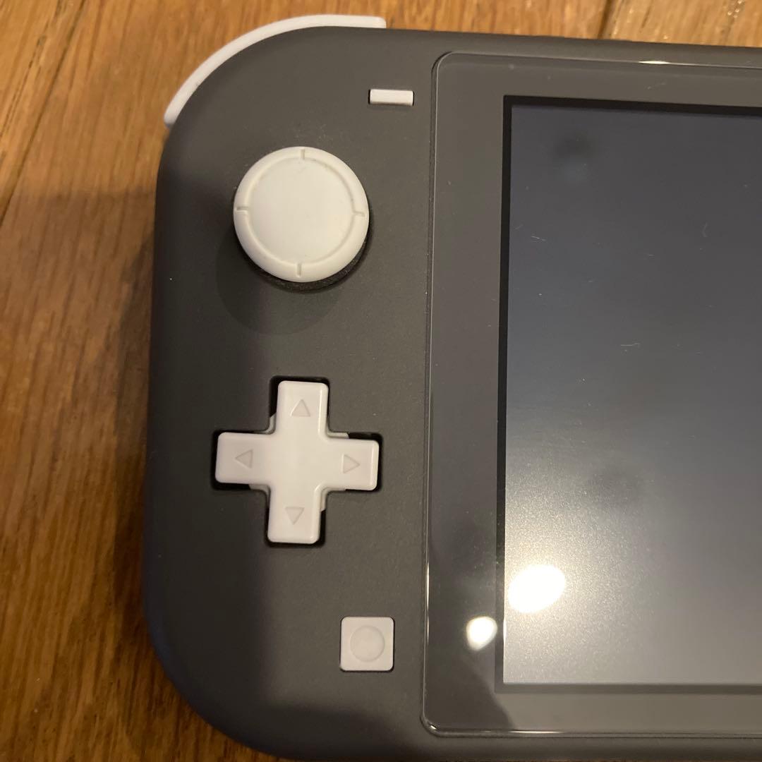 Nintendo Switch Lite グレー ➕　ケース