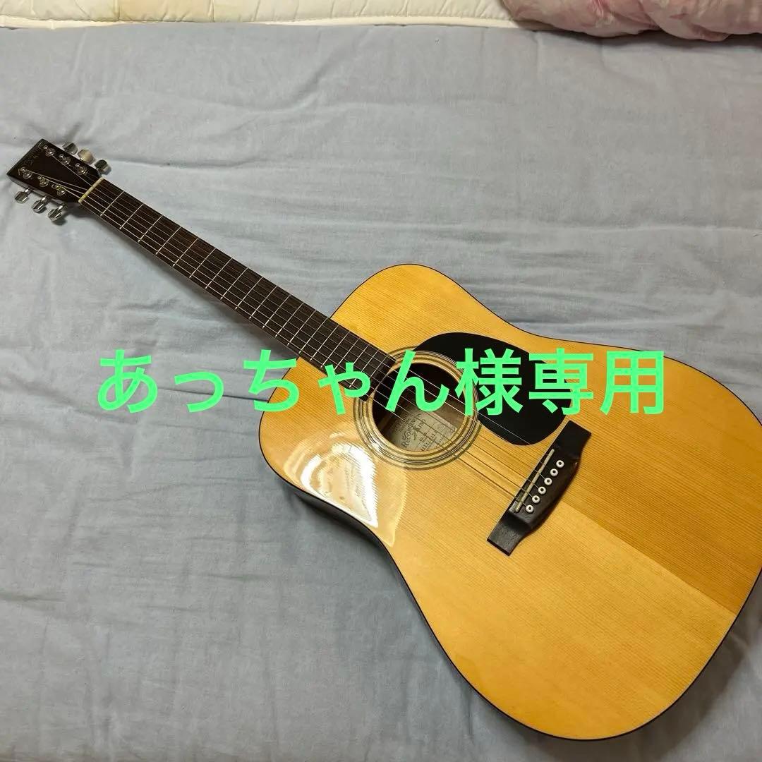 Recording King RD-06 ドレッドノート