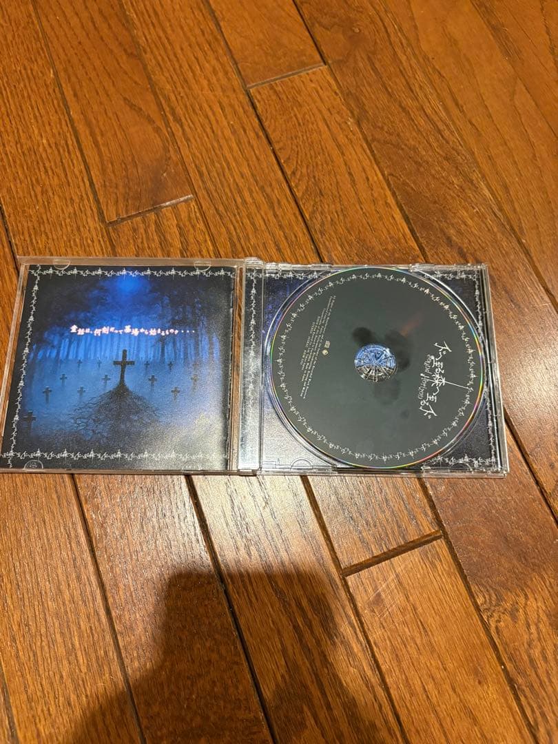 Sound Horizon サンホラ CD DVD 11点セット