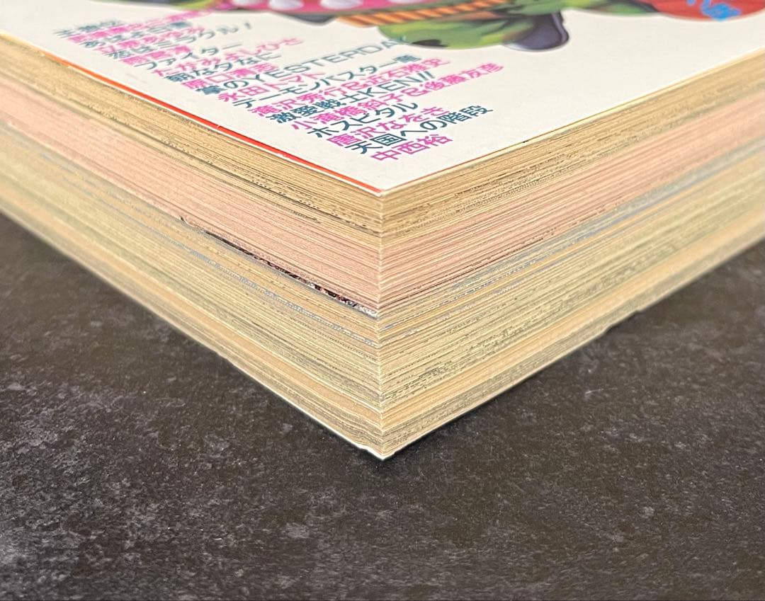 ●月刊アニマルハウス 1990年 3月号 ●新連載 砂の薔薇 新谷かおる