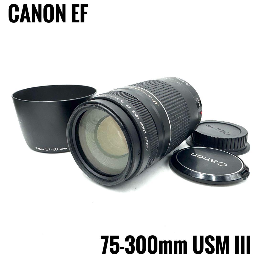 美品！Canon EF 75-300mm F4-5.6 III USM キャノン